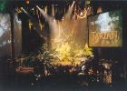 tarzan_4